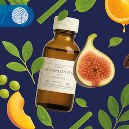 MANDARIN FIG