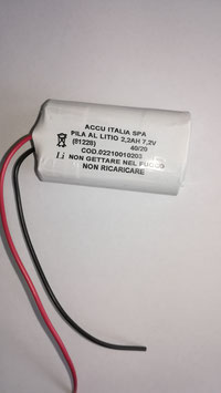 Pacco batterie Litio 2 x AA LS14505 7,2V ACCU con cavi