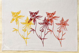 Columbine flowers warm kitchen towel