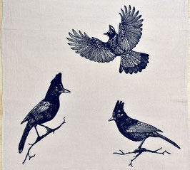 Stellars Jay kitchen towel