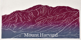 Mount Harvard  kitchen towel *14er*