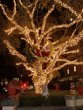 Deposit 30% for the booking for 7 Nights from...            2022     to...             2023  Dezember/ Silvester Season