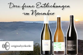 November - Entdecker