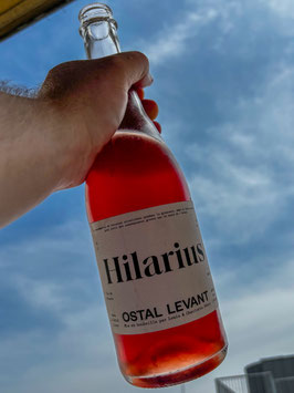 2022 Hilarius