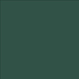FAST Stuhl Forest - bottle green 31