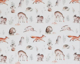 Musselin Fuchs im Wald