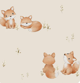 Fox Friends