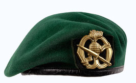 Groene Baret Korps Commandotroepen