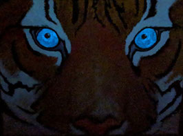 Eyes of Tiger