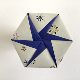 Hexagon mit blauem Stern