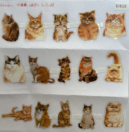 ステッカー　　猫-①
