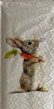 208    　 PT254102619　　Rabbit＆Carrot