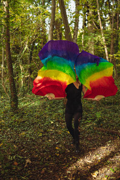 Rainbow Silk Fans