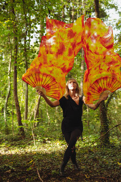 Fire Dragon Silk Fans