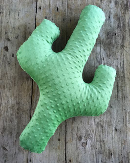 Kaktus Kuschelflausch