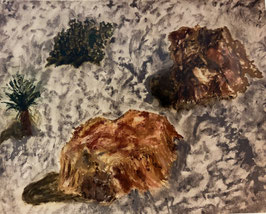 TREE STUMPS IN A DESERT GICLEE PHOTO PRINT--New!