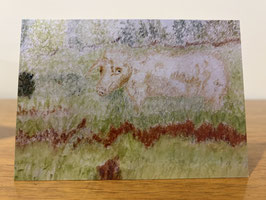 SHY COW GREETING CARD-NEW!