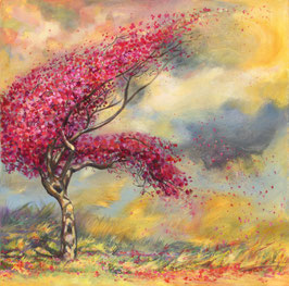 Wild Blossom