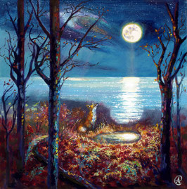 Moon Watcher