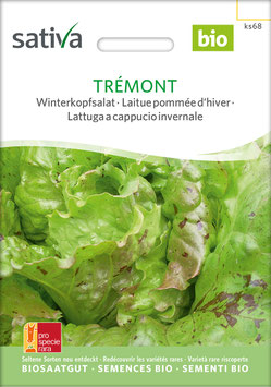 Trémont - Winterkopfsalat
