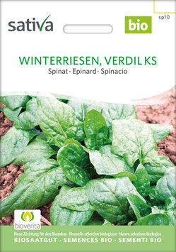 Spinat Winterriesen, Verdil KS