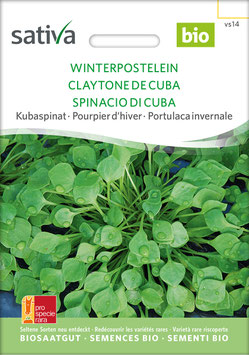 Winterpostelein