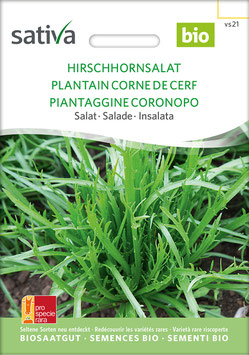Hirschhornsalat - Salat