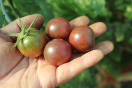 Black Cherry