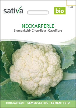 Blumenkohl NECKARPERLE