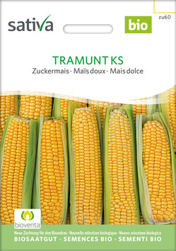 Tramunt KS - Zuckermais
