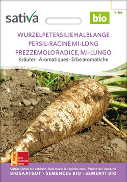 Wurzelpetersilie 'Halblange' - Kräuter