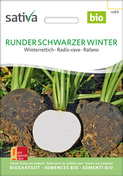 Rettich RUNDER SCHWARZER WINTER