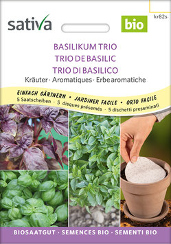 Basilikum Trio Saatscheiben
