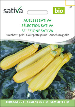 Daisy (Auslese Sativa) - Zucchetti gelb