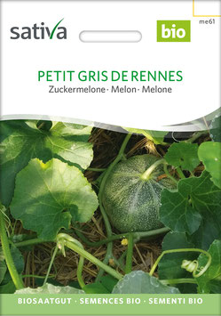 Honigmelone Petit Gris De Rennes