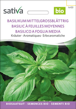 Basilikum mittelgrossblättrig