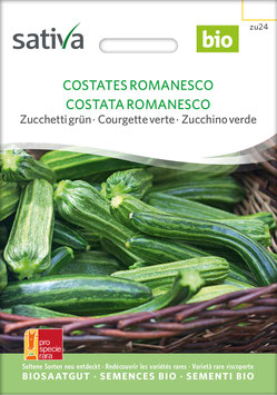 Costates Romanesco