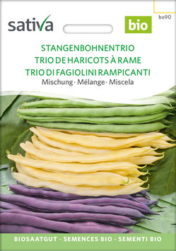 Stangenbohnentrio