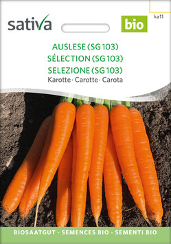 Asap (SG 103) - Karotte