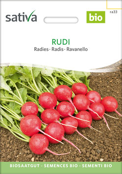 RUDI - Radies