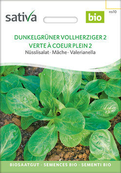 Feldsalat Dunkelgrüner Vollherziger 2 - Nüsslisalat