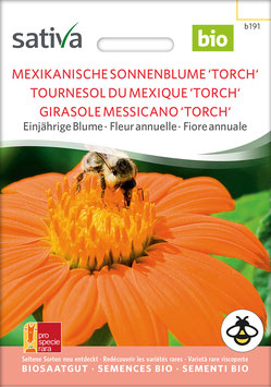Mexikanische Sonnenblume "Torch"