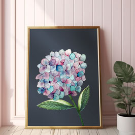 Blumen Poster Hortensie