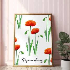 Blumen Poster Wandbild Mohn Klatschmohn