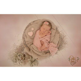 Gutschein «Newbornshooting» gross