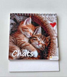 Calendrier Chats 2026