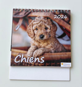 Calendrier Chiens 2026
