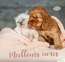 Calendrier meilleurs amis