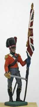 NAP S-152 Officer, Standing with flag