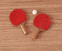 EF043 Tischtennis SET rot Schläger 3cmL